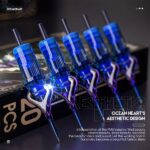 Kim Mast Ocean Heart - Ảnh 3